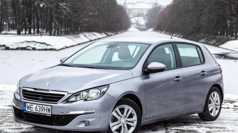 Max-Dywanik Peugeot 407 2004-2011