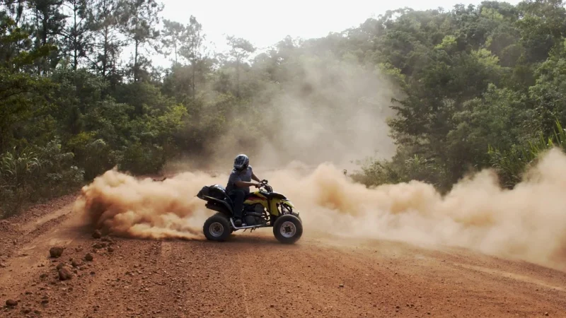 Maxxis Quad Atv Coronado 25/8R12 43M