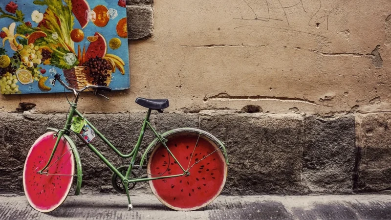 Mio Cyclo geomagnetyczny czujnik pr?dko?ci i kadencji ANT+