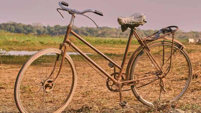 Modula Baga?nik uchwyt rowerowy na dach rower Bici 3000 15