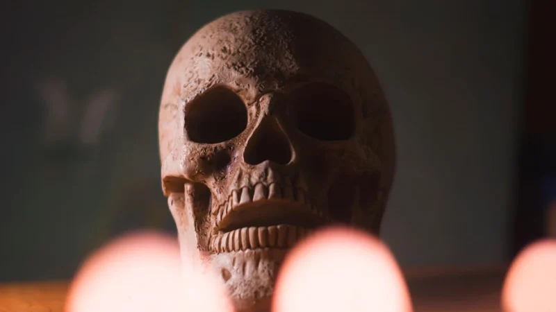 Niceboy HIVE Bones 2 czarne