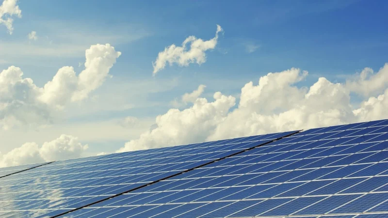 Odstraszacz Zwierz?t Solarny Lis Kuna Kret Dzik