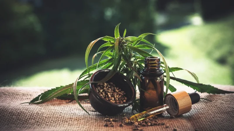Olejek CBD 10% Cannabol 1000mg Konopny 10ml